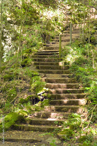 Naklejka na drzwi Alte Treppe