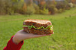 Fresh sandwich for a picnic