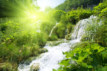 Canvas Print - wateterfall in deep forest