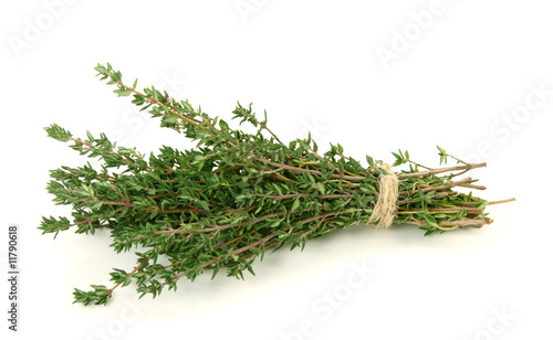 Cuadros en Lienzo Thyme isolated on white background