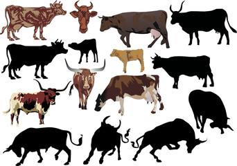 Wall Mural - cow and bull set