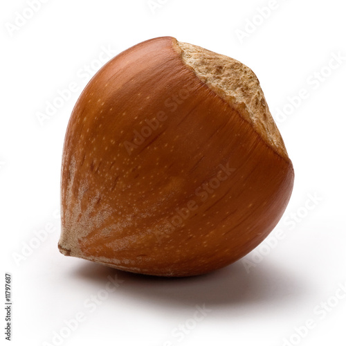 Hazelnut Shell Stock Photo Adobe Stock