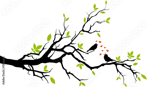 Naklejka - mata magnetyczna na lodówkę spring, two birds in love, sitting on a branch