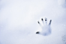 Handprint In Bluish White Snow