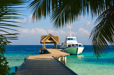 Wall Mural - Yacht moored