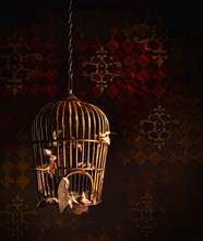 Old Wooden Bird Cage With Feathers