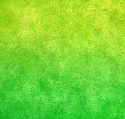 Wall Mural - lime green paint texture background