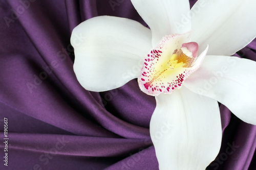 Naklejka dekoracyjna white orchid on smooth purple satin