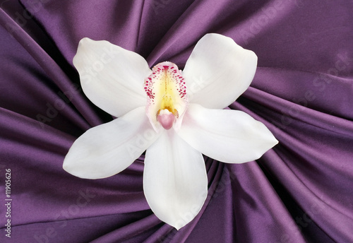 biala-orchidea-na-gladkiej-fioletowej-satynie