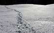 canvas print picture - spuren im schnee