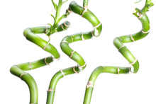 Bamboo Spiral