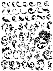 set beauty floral vector