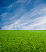 Green Grass And The Blue Sky