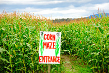 Corn Maze Entrance