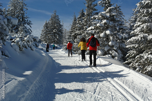 Plakaty biegi narciarskie  sniezny-krajobraz-w-schwarzwaldzie