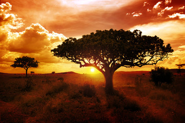 africa sunset