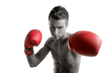 Young boxer man isolated on studio