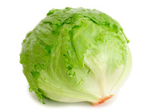 Cabbage Lettuce Isolated On White