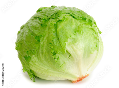 Fotomural Cabbage lettuce isolated on white