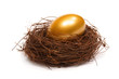 Gold egg in a real nest