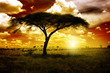 canvas print picture Africa Sunset