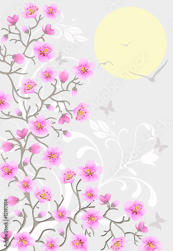 Naklejka - mata magnetyczna na lodówkę Japanese cherry tree blossoms by day