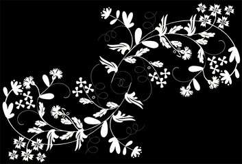 two white floral branches