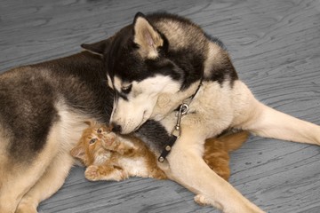 friends forever