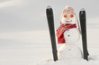 Happy snowman on ski