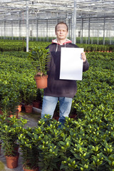 Blank sign in a glasshouse