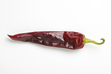 Guajillo chili pepper