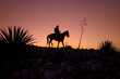 Horseback Rider At Sunset / Sunrise