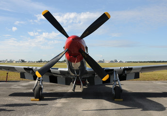 Canvas Print - Old fighter plane