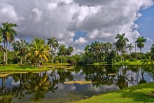Fairchild Tropical Botanic Garden, FL, USA
