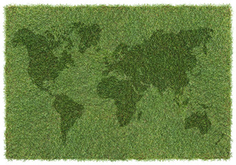 world map on grass