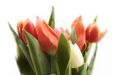 Fototapeta Kuchnia - Spring bouquet
