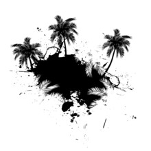 Palm Trees Grunge