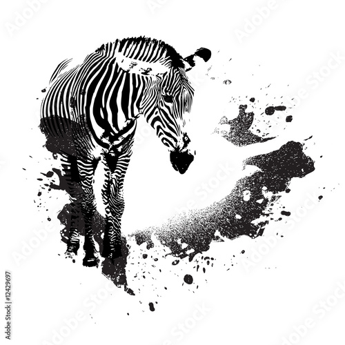 Dekoracja na wymiar  nieczysta-zebra