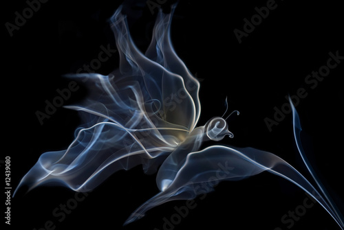 Naklejka - mata magnetyczna na lodówkę The smoke butterfly on a black background