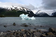 Eisberg im Portage Lake, Alaska - USA