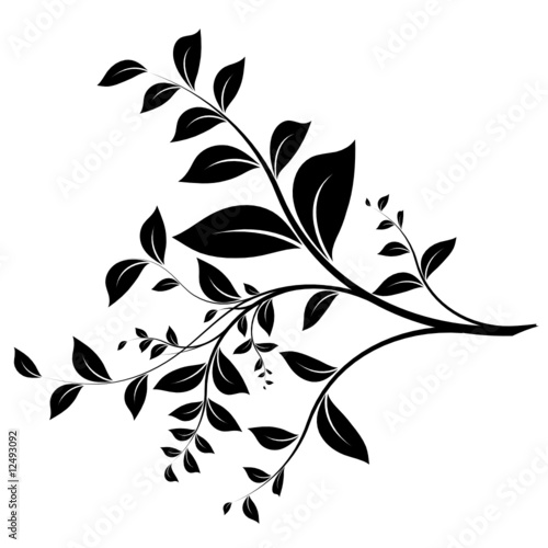 Branche Et Feuillage Branch And Leaves On White Vector Buy This Stock Vector And Explore Similar Vectors At Adobe Stock Adobe Stock