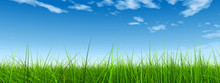 Green Grass Over A Blue Sky With White Clouds As Background