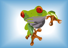 Green Frog 01