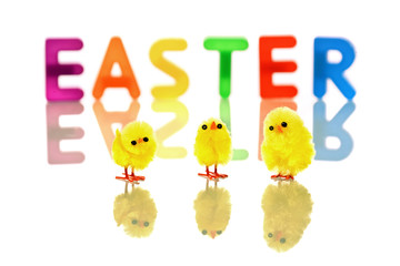  baby chicks reflected in white with colorful easter word in back