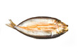 Traditional smoked kipper isolated on a white studio background.