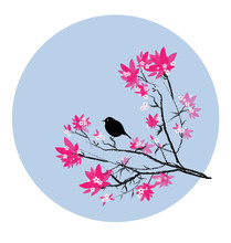 Petit Oiseau Noir Sur Branche De Cerisier Rose Et Noir Dans Cerc