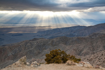 Mojave Desert Sunset in Joshua Tree National Park