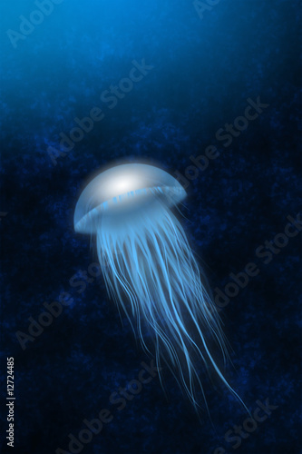 Tapeta ścienna Meduza, meduza