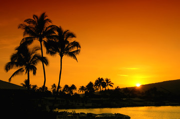 Wall Mural - Sunset In Oahu Hawaii