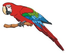 Bright Colored Parrot Sitting On A Branch, Vector Illustration